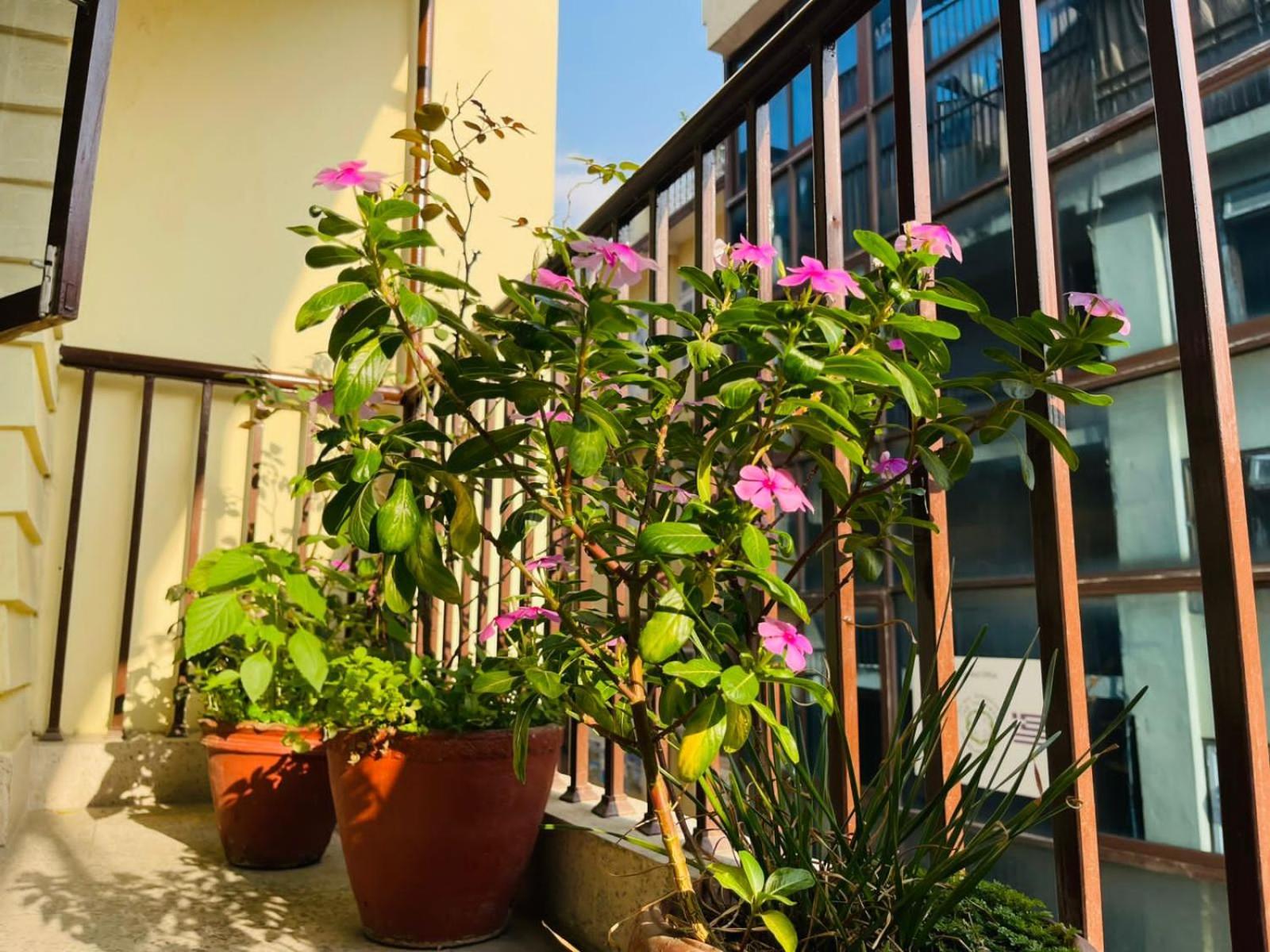 קטמנדו Holy Land Hotel Nepal מראה חיצוני תמונה